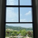 용인 자작나무숲 펜션 | 용인 가볼만한곳! 힐링 데이트하기 좋은 용인자작나무숲(+베툴라 카페)