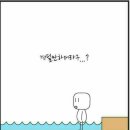 미르 태권도 이미지
