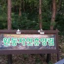원동자연 휴양림 이미지