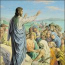 (주)미르코 이미지