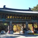 정원태 이미지