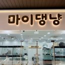 강아지분양 마이댕냥 일산점 이미지