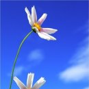 포근해 - 여주시 영릉로 32 | 포근해