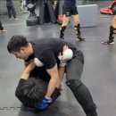 제로멀티짐 이미지