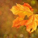 직업상담사 문제풀이 - 직업심리학 이미지