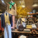 아이댄디안경 | 가로수길 지나가는김에 폴로 랄프로렌 매장 방문후기 :: 가로수길 데이트 추천 , 생각보다 예뻤던 미니백들