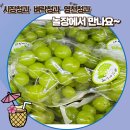 벼락청과
