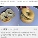 이거보소