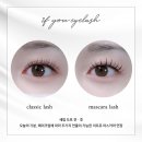 이프유래쉬&왁싱 이미지