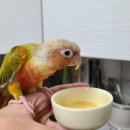 하선농장 이미지