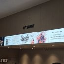 애틋하개 | [콘서트] 쏜애플 단콘 &lt;불구경 2025&gt; 3일차 후기