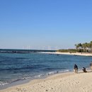 브릭스스테이 | 6개월 아기와 제주도 한달살이 (3주차)