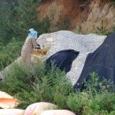 지산농원 이미지