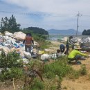 청정바다 이미지