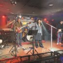 데이스타(daystar) Daum카페