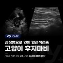 소로동물병원 이미지