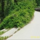 대철약수터 이미지