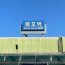 서진이네 | 강원도 묵호 게스트하우스 [서진이네] 다온방 이용 후기🏠