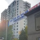 강남-206 이미지
