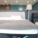 한일 soft | 포항 침대 템퍼 매트리스 종류 템퍼 프로 프리마 비교 후기