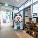 세인트존스호텔 인피니티풀 이미지