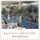 부여 롯데리조트 재방문 후기 | 물놀이부터 캐릭터 키즈룸, 아울렛 쇼핑까지 완벽했던 1박2일