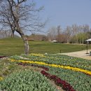 순천만국가정원 이미지