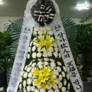 영월전국꽃배달