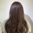 헤어 봄 이미지