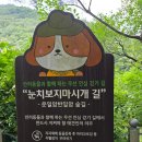 진안정육점