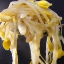 콩나물국밥 이미지