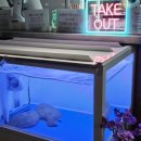 일월 치안센터 이미지