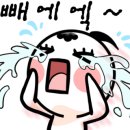 아이언호 이미지
