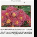 하루안치과의원 | 좋은하루치과의원 첫 방문 후기, 이렇게 편안할 줄 몰랐어요