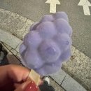 세종선거관리위원회 | 11월의 사랑은 꿈결처럼