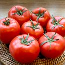 별딜) 대추방울토마토 1kg 5900원 네멤 무배 이미지