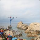 덕풍계곡솔밭야영장 이미지