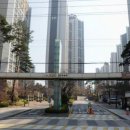 새연세정형외과의원 이미지