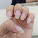 네일아또 이미지