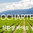 비지에이치(BGH)