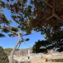 국화저수지 | [강화도] 갑비고차 펜션