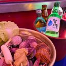 닭동가리 이미지