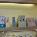 고양이묭실 이미지