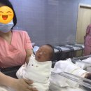 김효정소아과의원 | 37주 4일 제왕절개 출산후기 송파고은빛산부인과