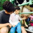 신하목장 이미지