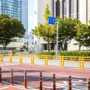 신광초등학교 앞 횡단보도 이미지