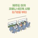 꿀벌노래연습장 이미지