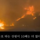 PC 나라 이미지