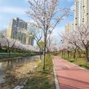 봉산 벚꽃길 네이버블로그