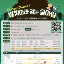 별마실
